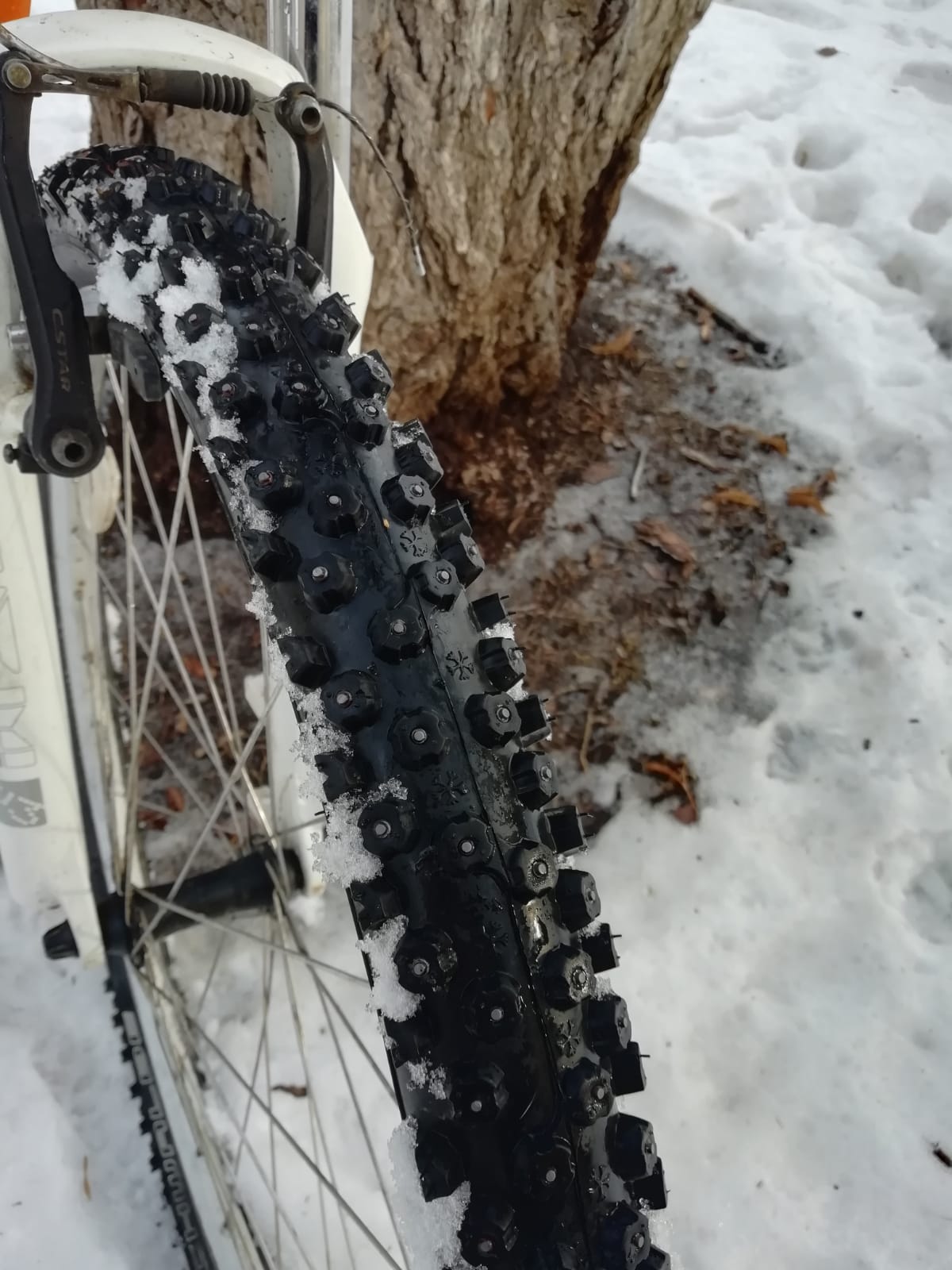 Аренда: Велосипед для зимы